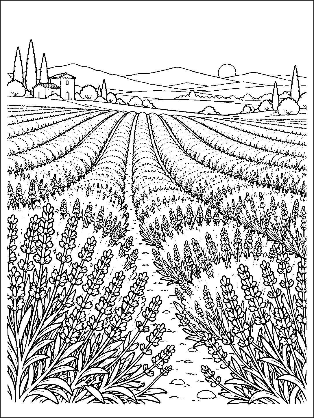 Portrait lavender coloring page with prominent flower rows in the foreground, rolling hills, a small sun, and a farmhouse in the distance.