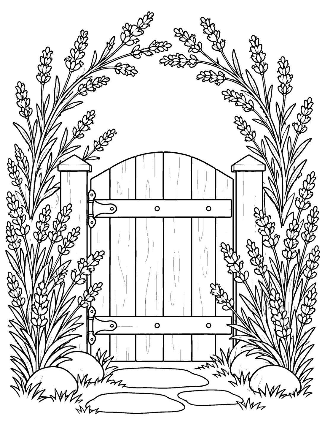 Lavender coloring page with a wooden garden gate framed by lavender bushes and arching stems