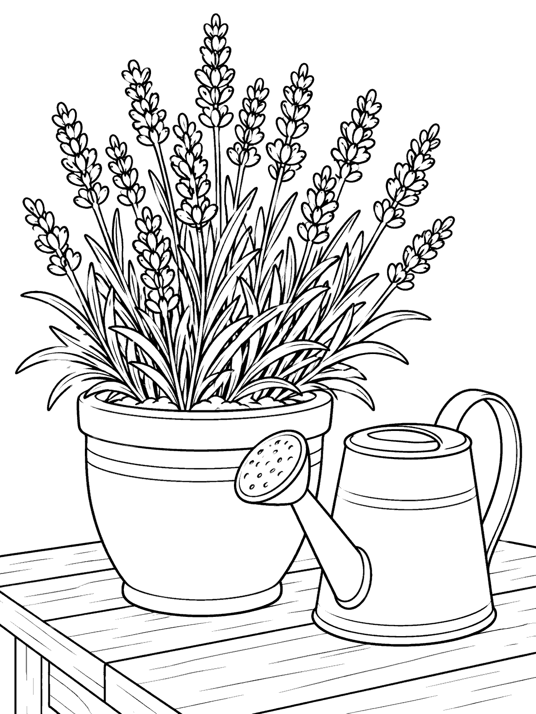 Black-and-white lavender coloring page showing flowering lavender in a pot beside a watering can on a tabletop.