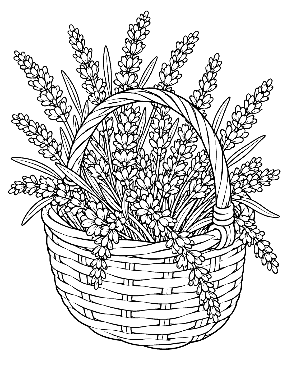 Lavender coloring page showing a woven basket full of long flowering lavender stems.