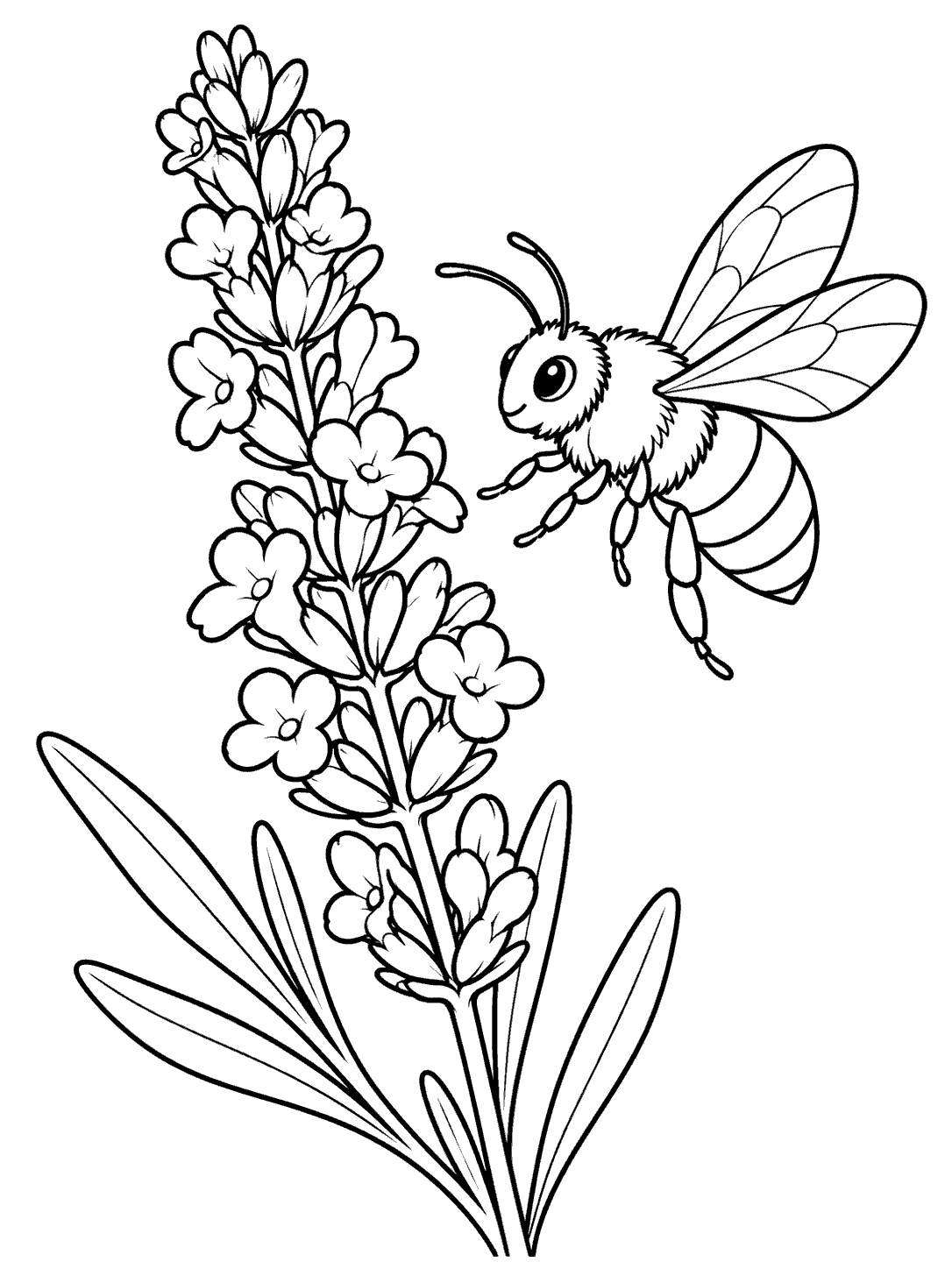 Black ink coloring page showing a tall lavender spike beside a hovering bee with open wings and striped body.