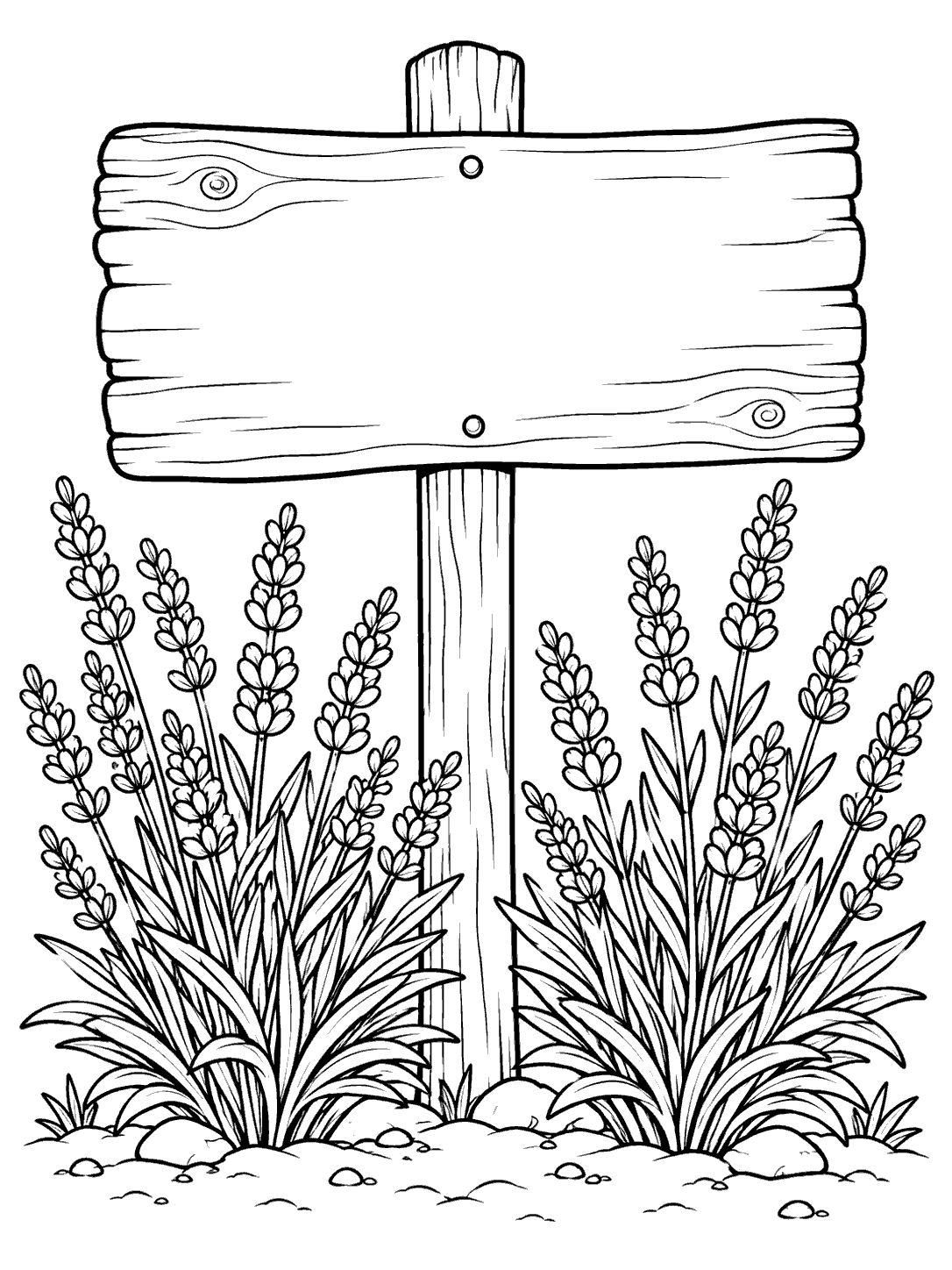 Black ink coloring page of a blank wooden garden sign surrounded by two lavender bushes.
