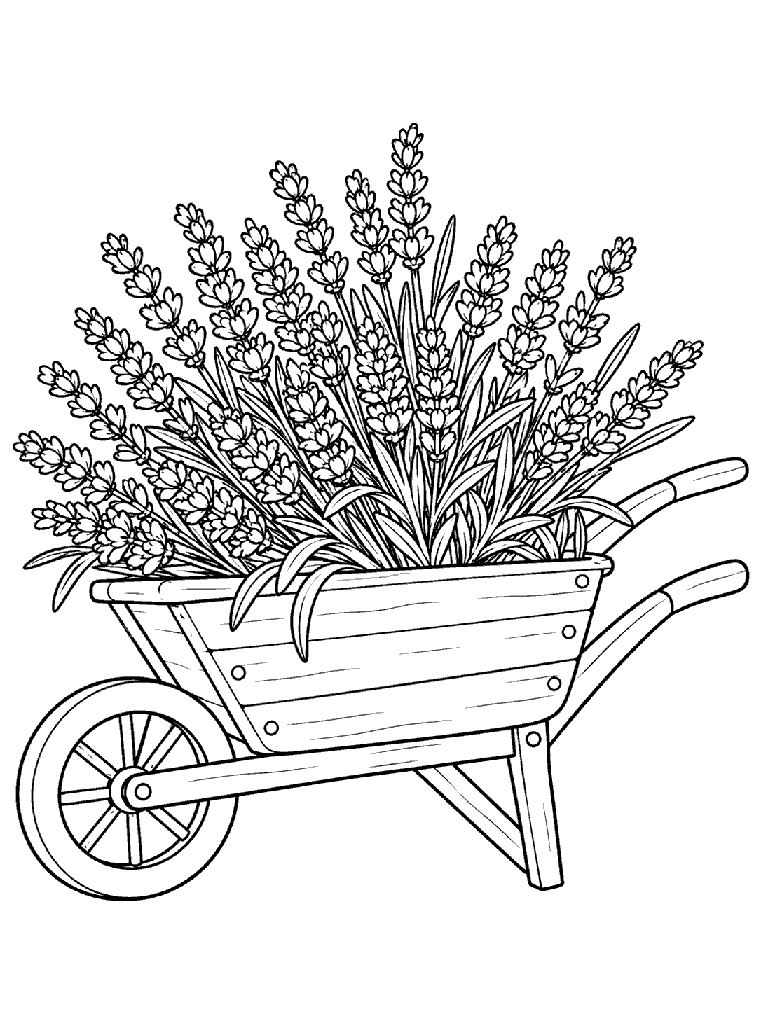 Lavender coloring page of a side-view wheelbarrow filled with a mound of lavender, with one visible wheel and simple handles.