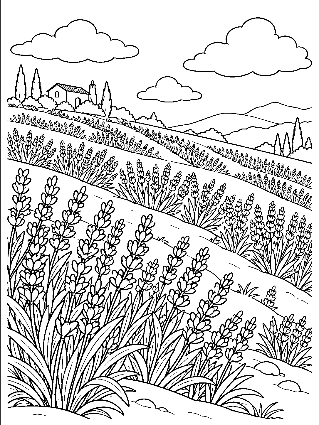 Black-and-white lavender coloring page showing flower clusters across a gently sloped hillside, with clouds, distant hills, and a small farmhouse.