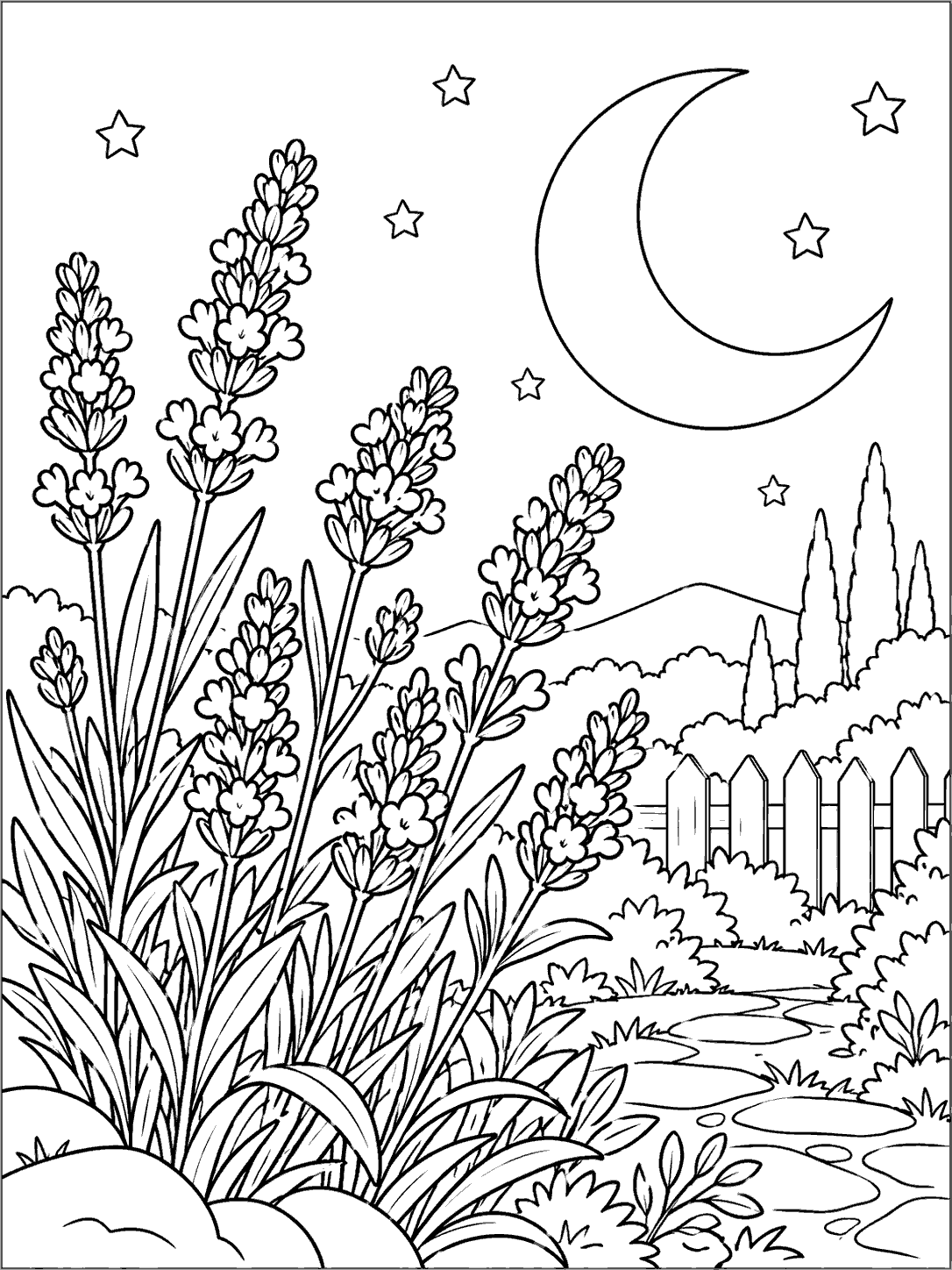 Black-and-white lavender coloring page with several flower stalks, a large crescent moon, stars, a garden path, and a small fence.