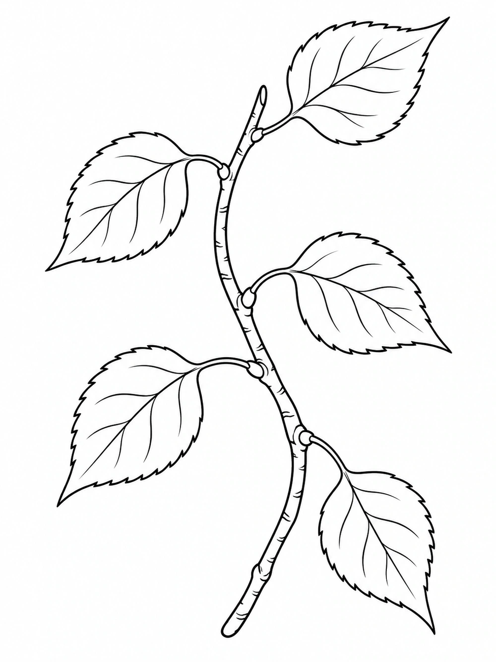 Black outline coloring page of five birch leaves on a curved twig