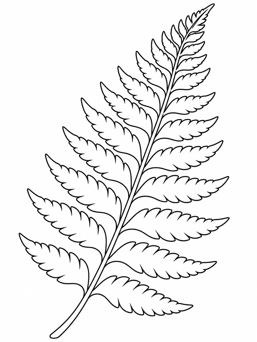 Black line art of a single upward-curving fern frond with paired leaflets on a white coloring page.