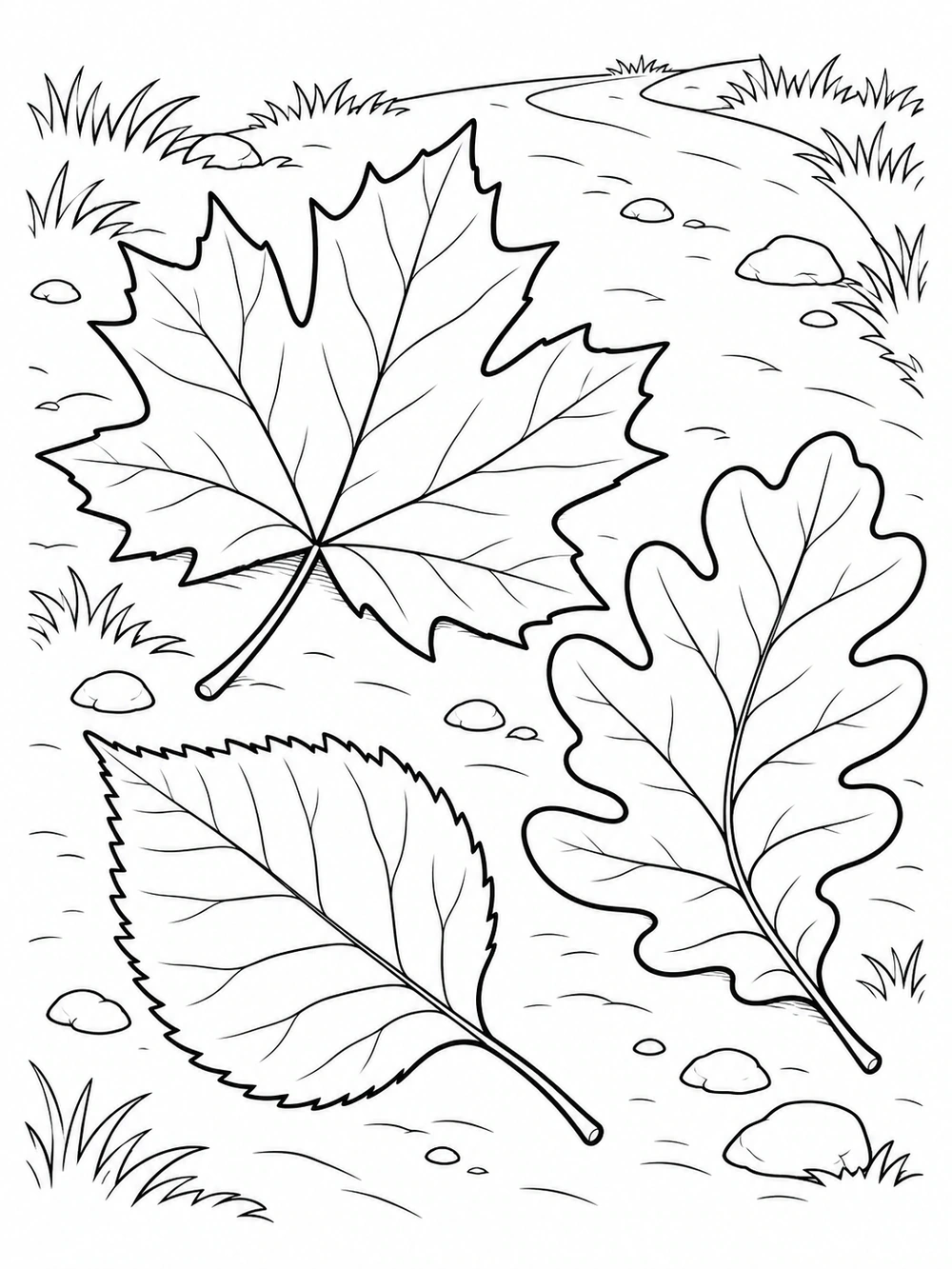 Three outlined fallen leaves—a maple, oak and birch—on a curved path, with scattered grass and stones.