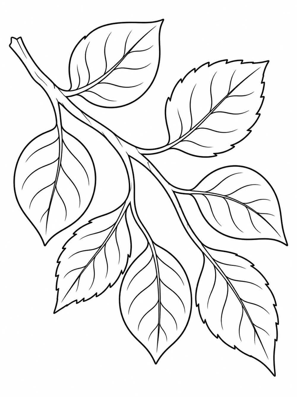 Black outline coloring page of seven oval and pointed leaves on an arcing branch.