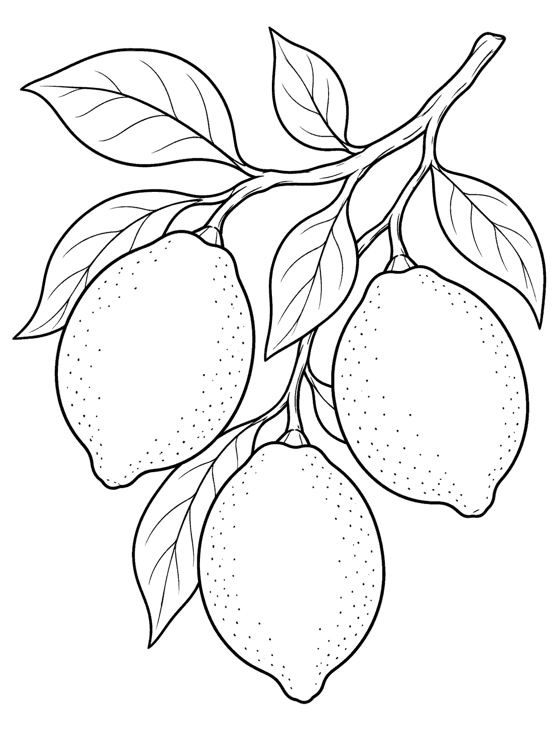 Three outlined lemons and broad leaves on a spreading branch, drawn as a black and white coloring page.