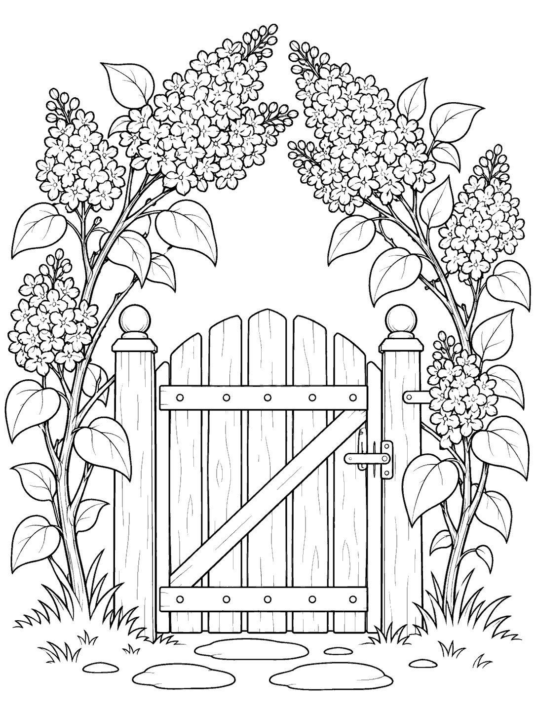Lilac clusters arching above a garden gate