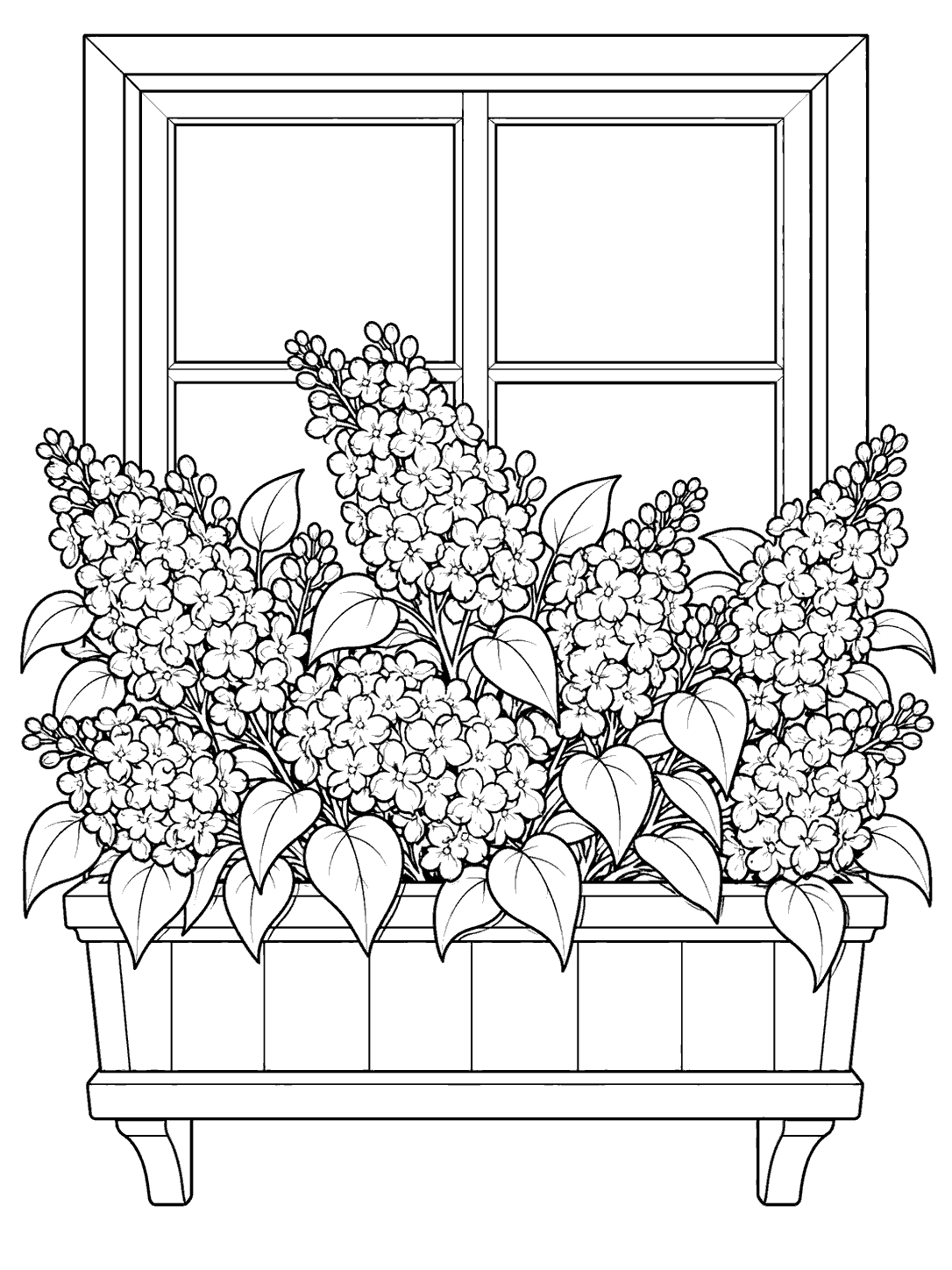 Black-and-white line art of flowering lilacs overflowing a window box in front of a four-pane window.