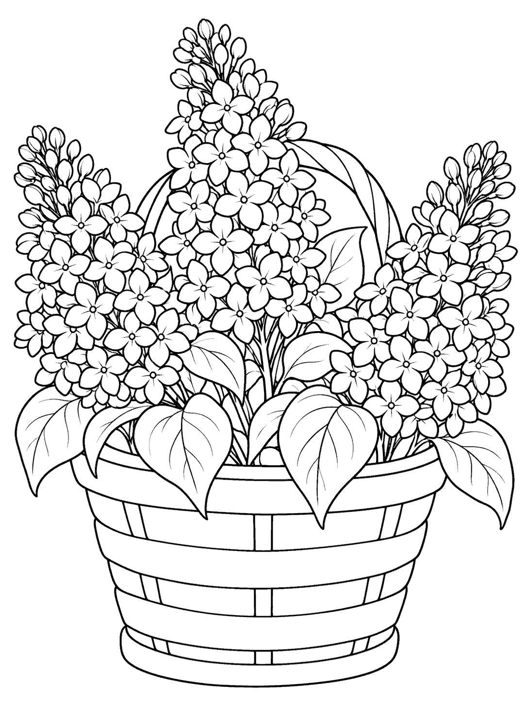 Three lilac clusters with broad leaves arranged in a wide, banded basket
