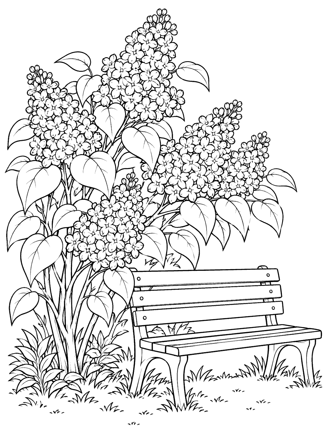 Several lilac flower clusters and broad leaves rise beside a simple empty slatted bench, with grass at the base.