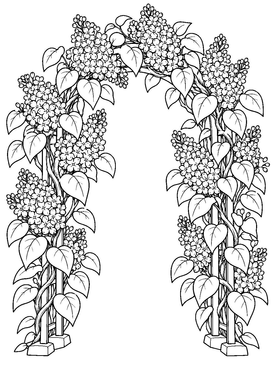 Black-and-white coloring page of a freestanding garden arch covered in lilac flower clusters and broad leaves.
