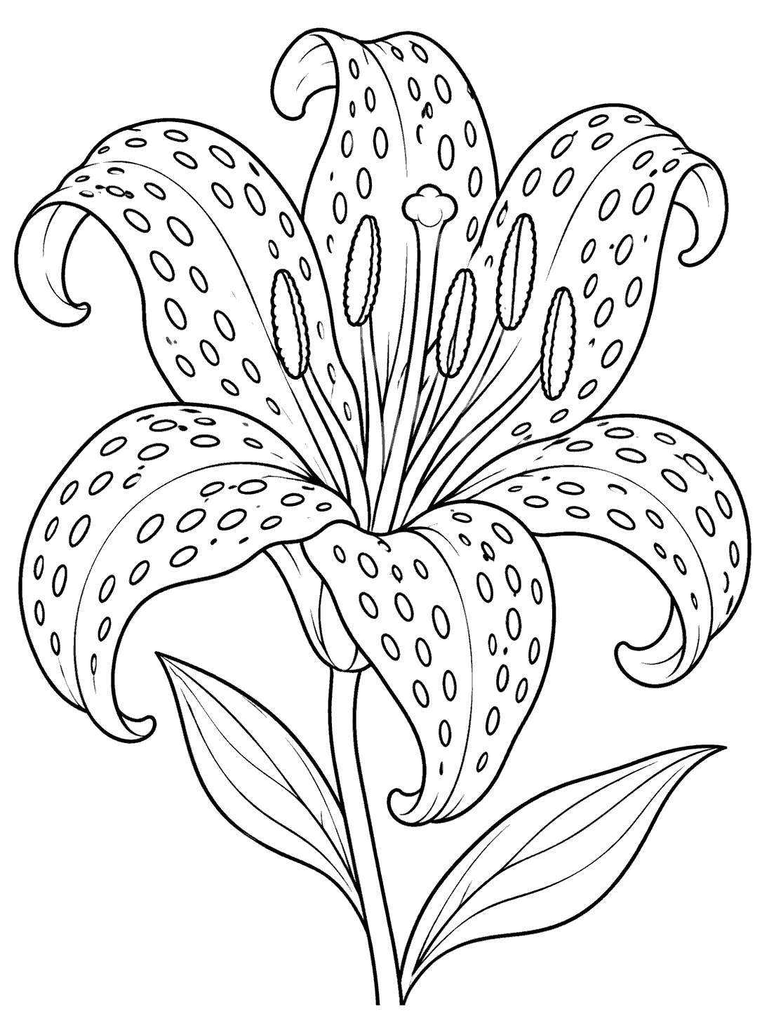 Black line art of a forward-facing tiger lily with recurved spotted petals, a short stem, and two leaves.
