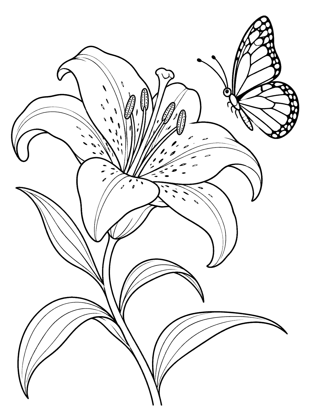 A large open lily with a curved stem and leaves, beside a small butterfly with patterned wings.