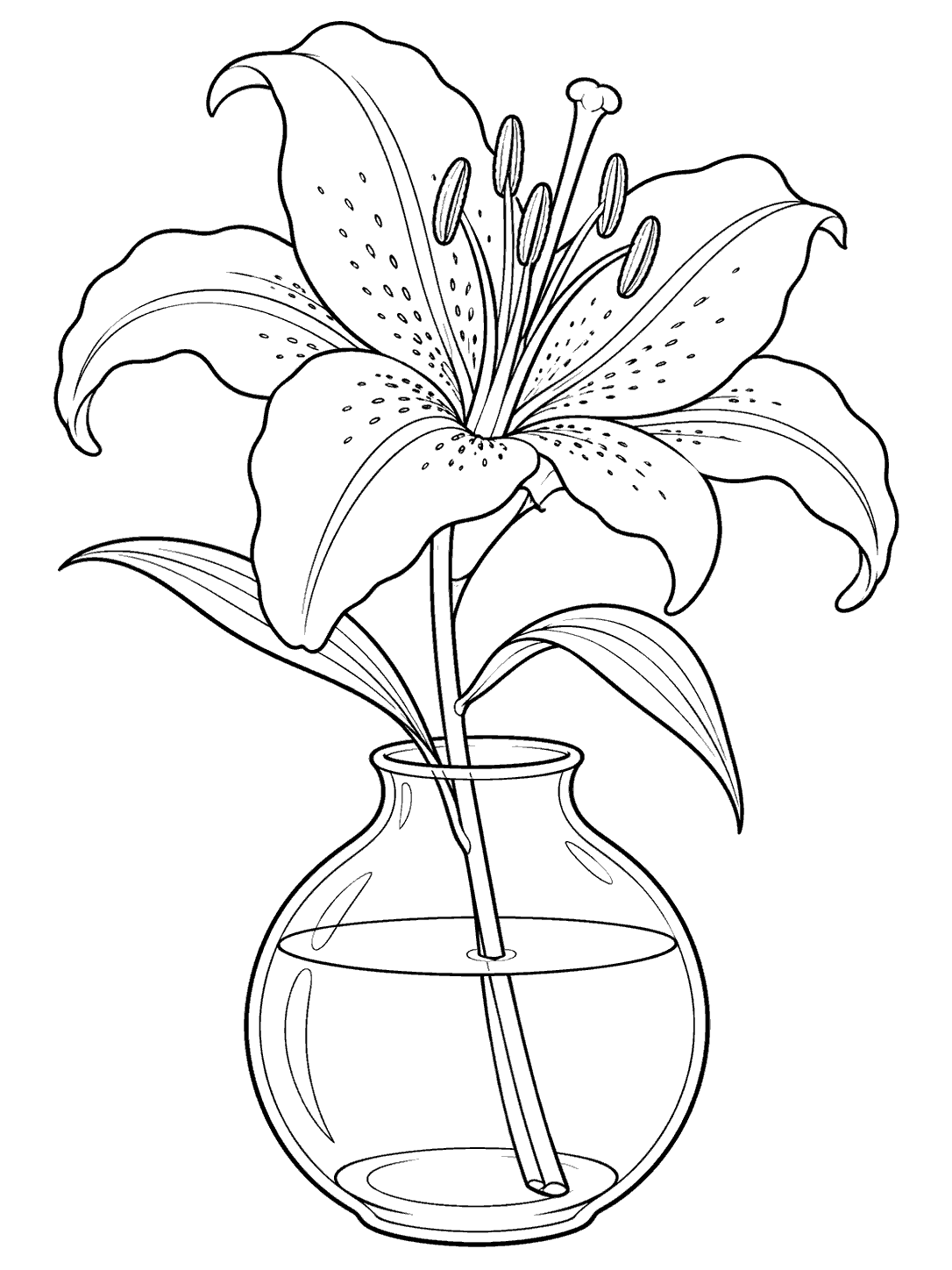 An open lily with broad petals and leaves rises from a clear rounded vase with a visible waterline.