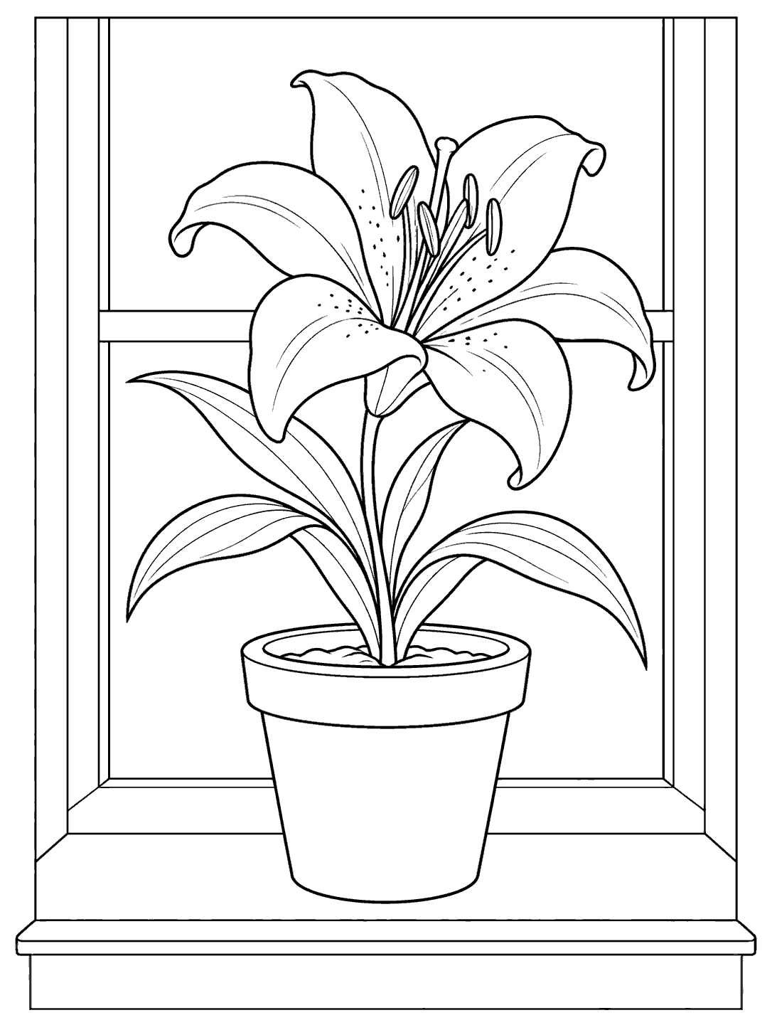 Black line art of a potted lily with an open bloom and broad leaves on a wide sill, framed by a simple window with empty panes.