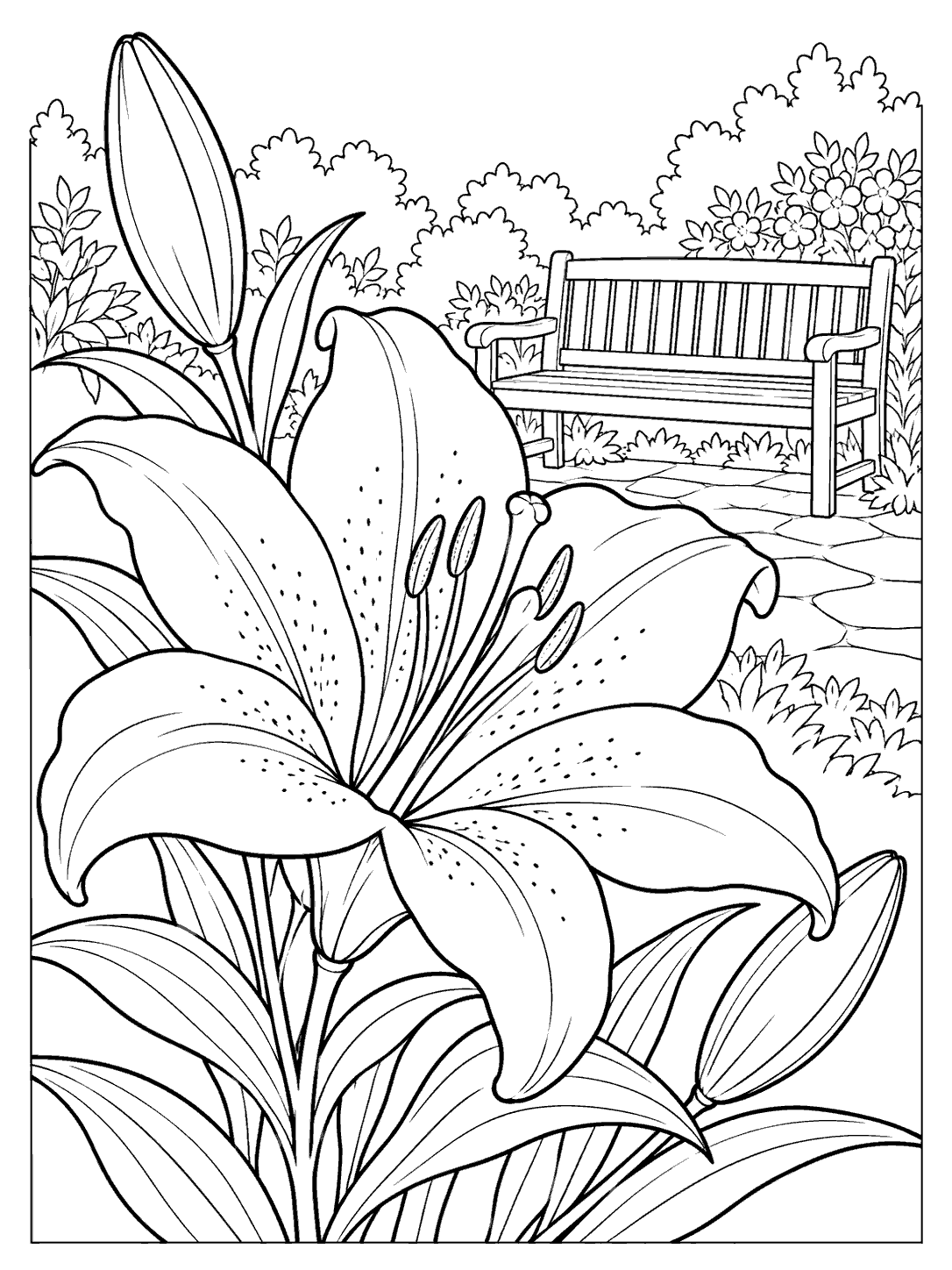 A large open lily with leaves and a bud fills the foreground, with a garden bench and flowering shrubs behind it.