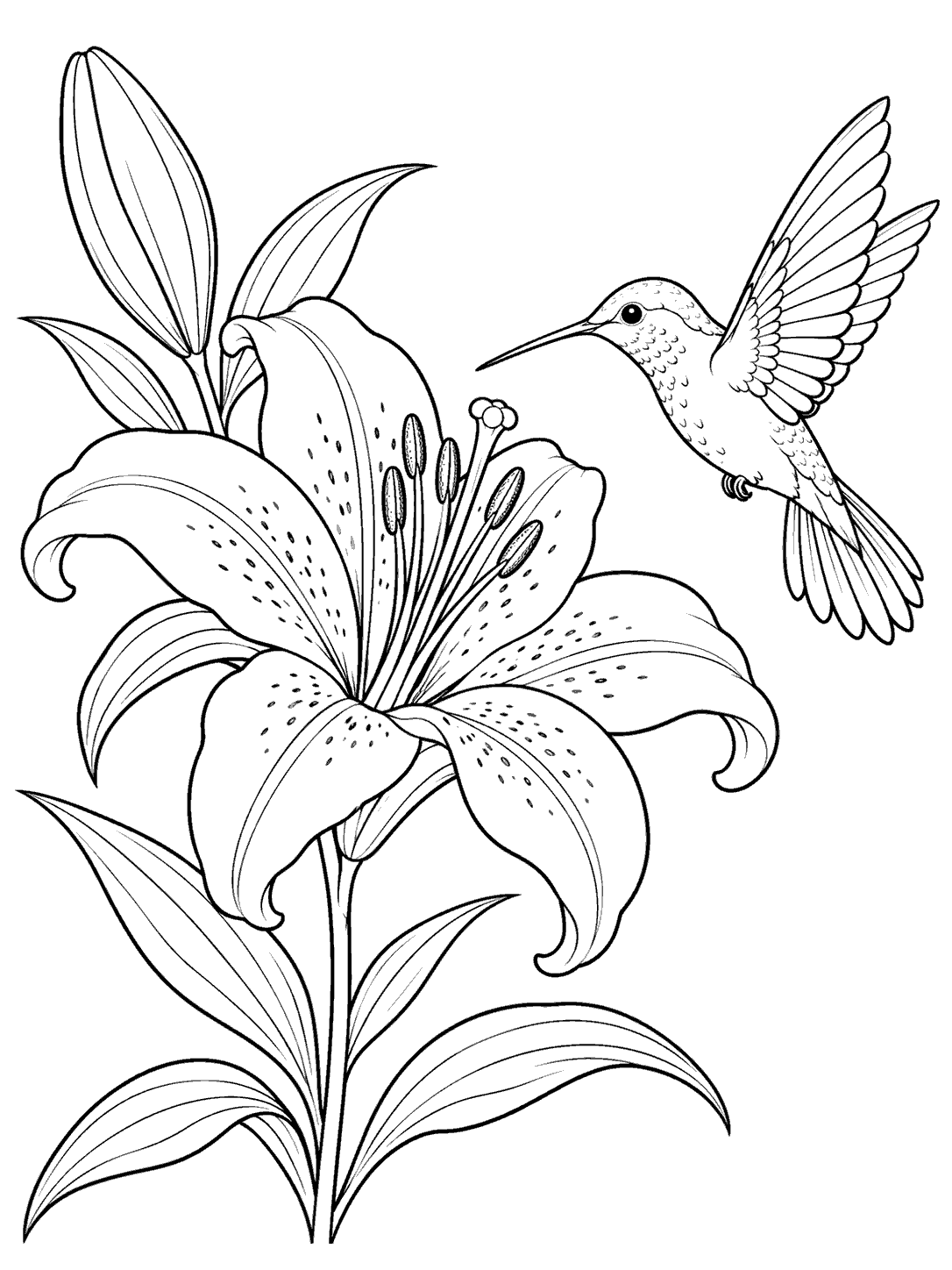 A hummingbird hovering beside a large open lily with leaves and a stem.