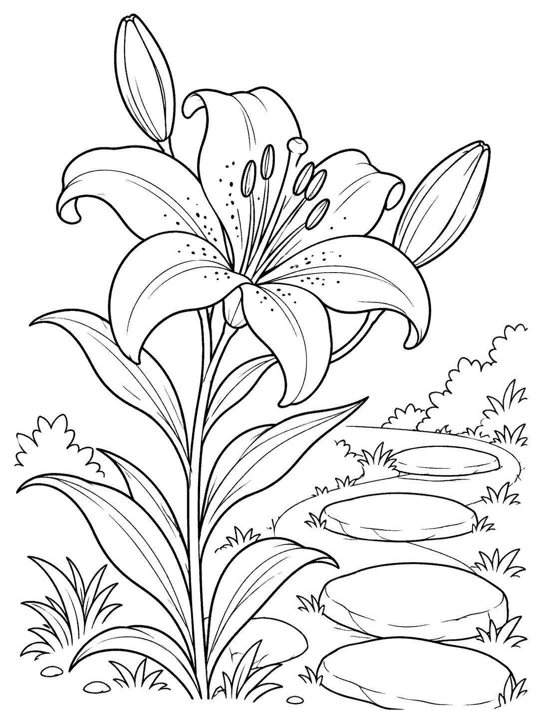 Black line art of a tall lily with buds beside a winding path lined with four large stepping stones and sparse ground plants.