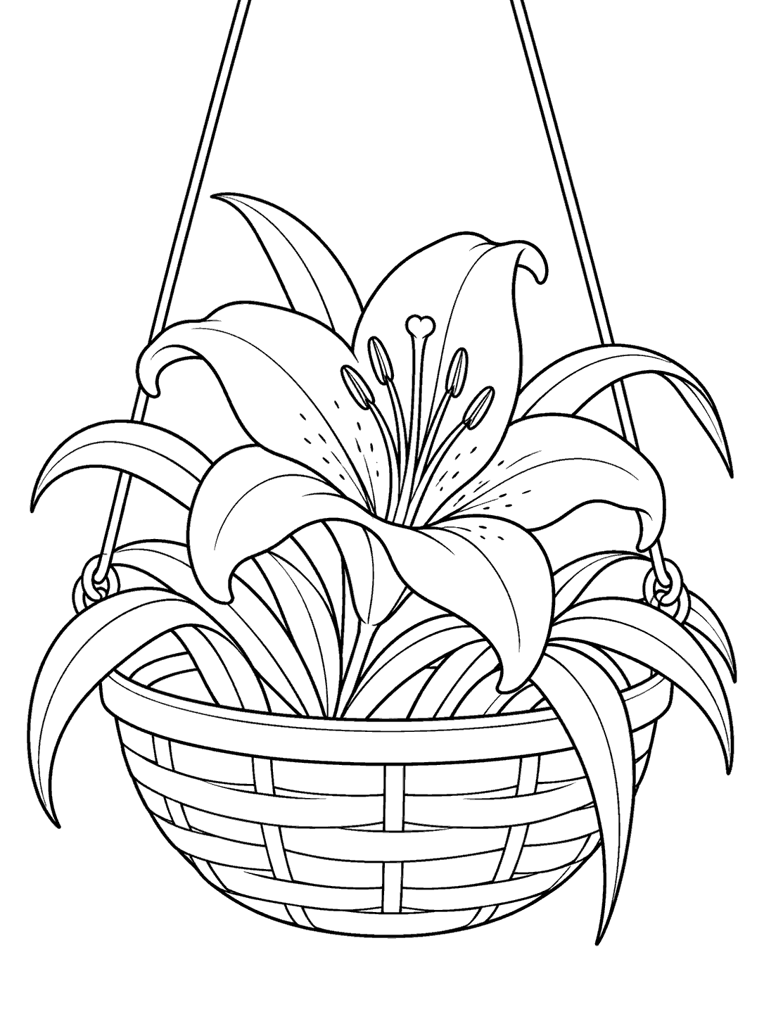 Black line art of an open lily and arching leaves growing in a woven hanging basket suspended by two cords.