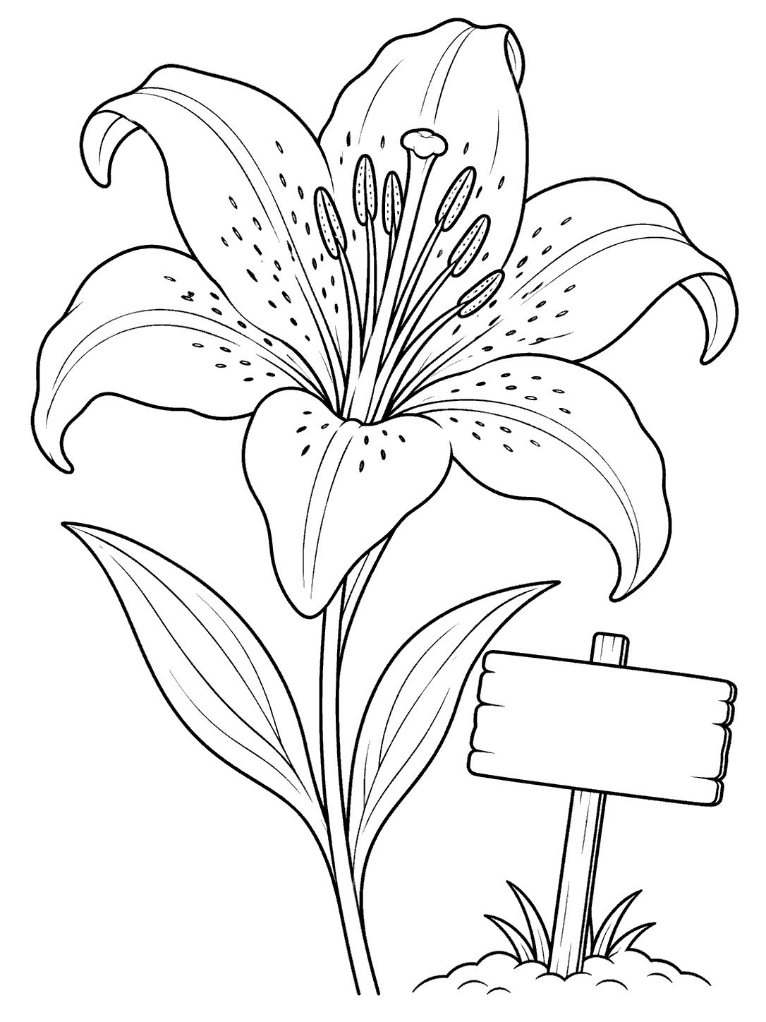 A large lily with two leaves beside a small blank sign on a stake.