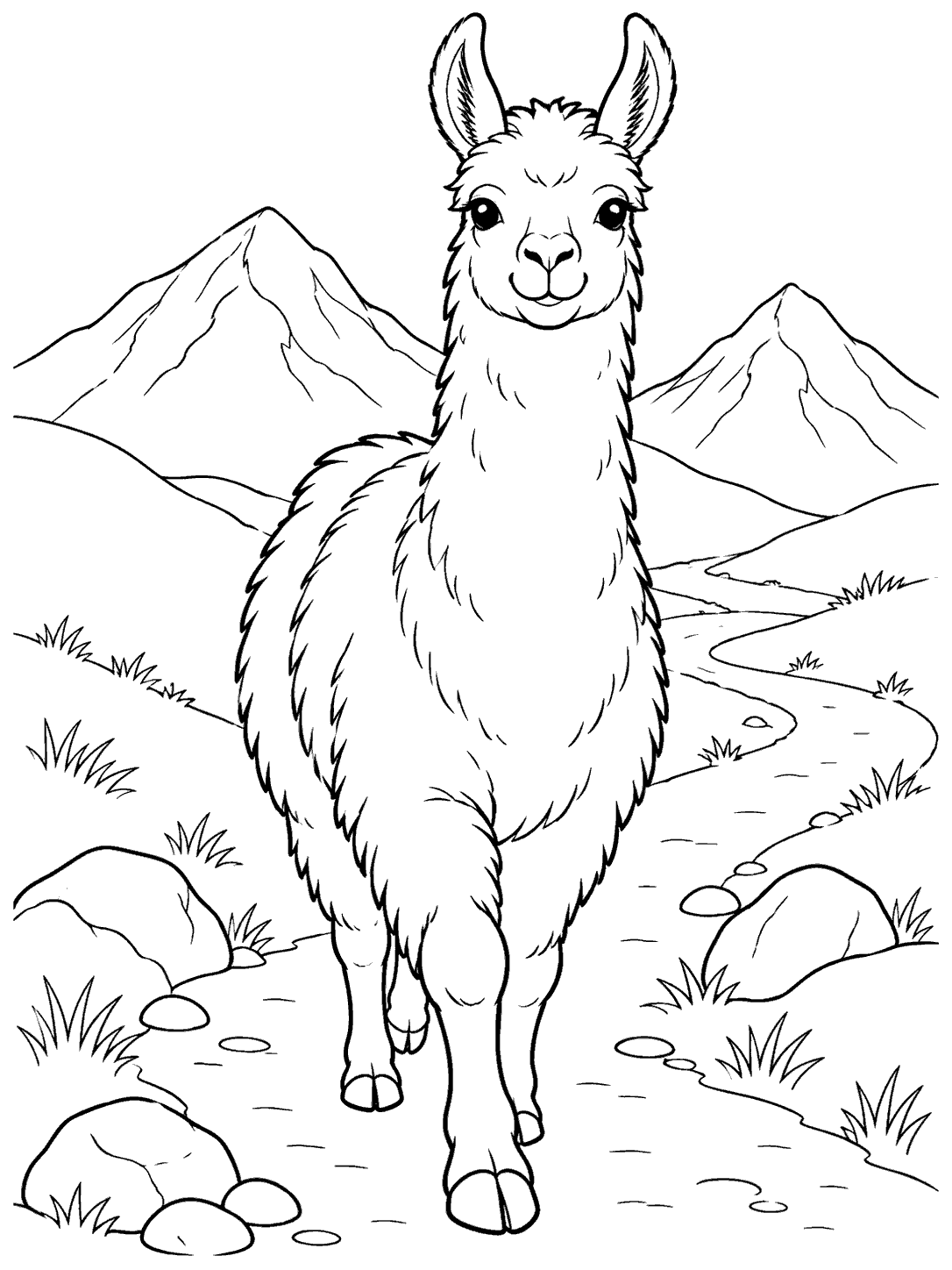 A full-body llama walks toward the viewer on a winding trail, with rounded mountains, rocks, and grass behind it.