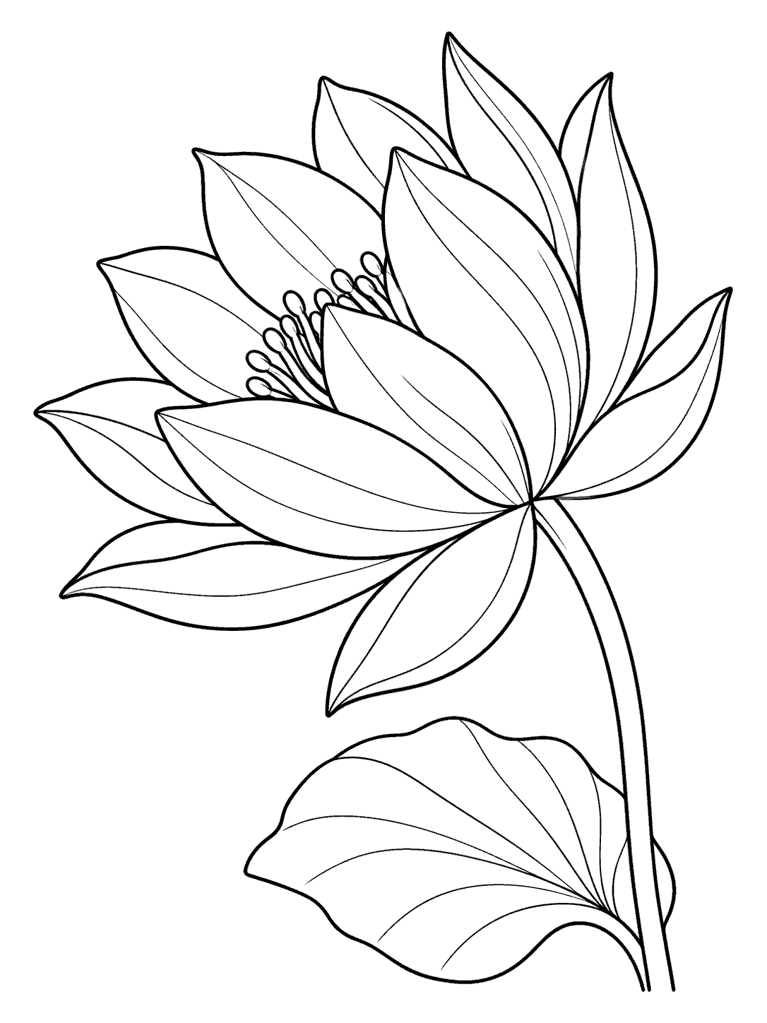 Black-and-white lotus coloring page with layered petals, curved stem, and a broad leaf near the base.