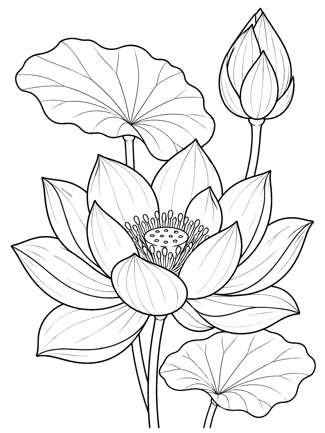 Black and white lotus coloring page with an open foreground flower, a separate upright bud, and two leaves.
