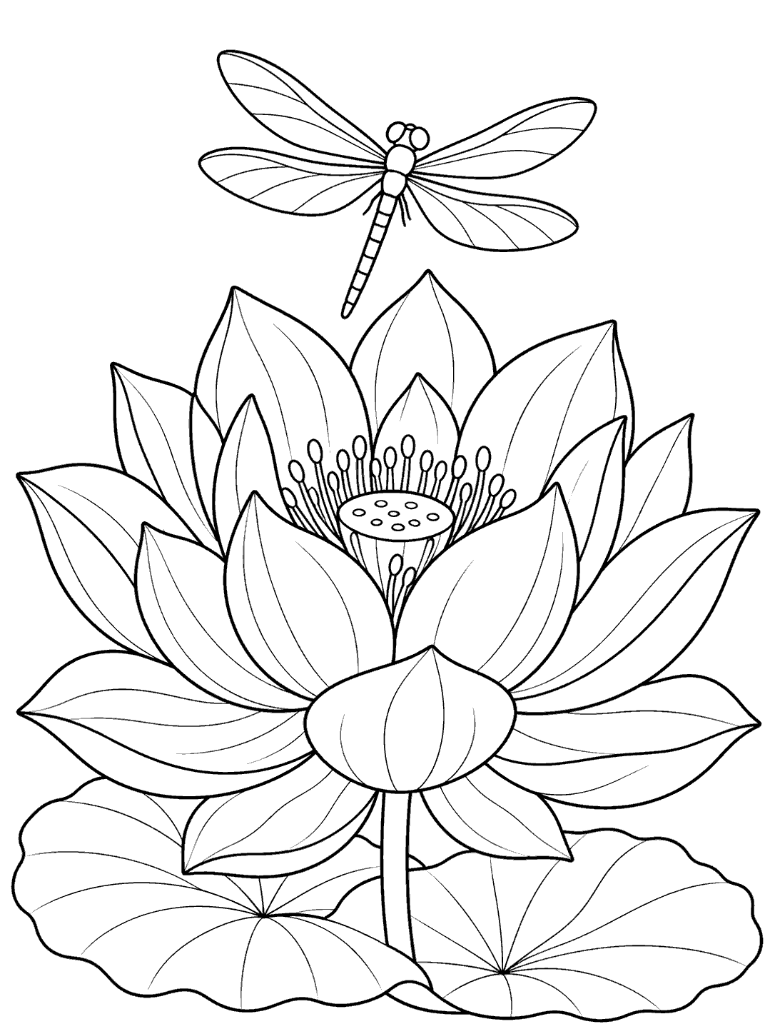 A four-winged dragonfly hovering above a large layered lotus with broad leaves, drawn in black outlines on white.