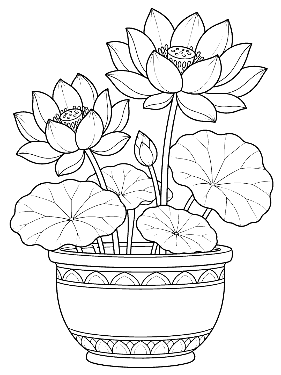 Two lotus flowers and rounded leaves growing in a decorative pot, in black-and-white coloring-page line art.
