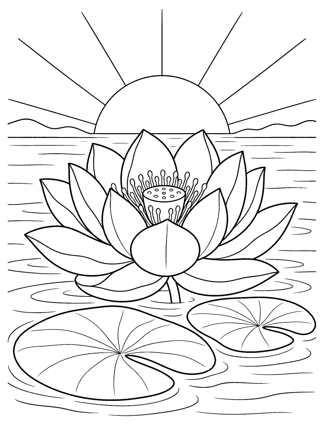 Open lotus and two lily pads on a pond, with a rising sun and water lines, as a coloring page.