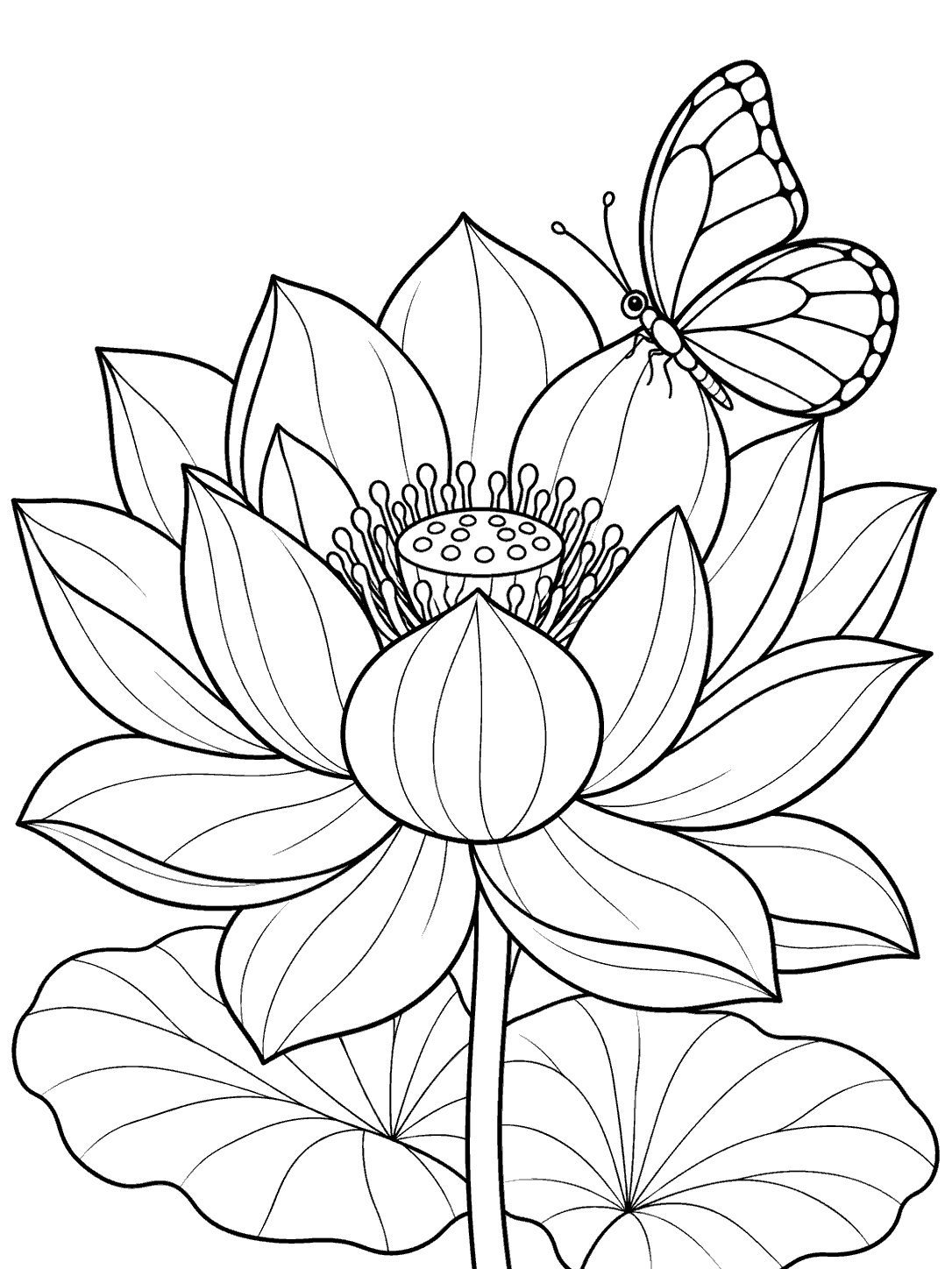 Black-and-white coloring page showing a large open lotus with a butterfly resting on an upper petal.