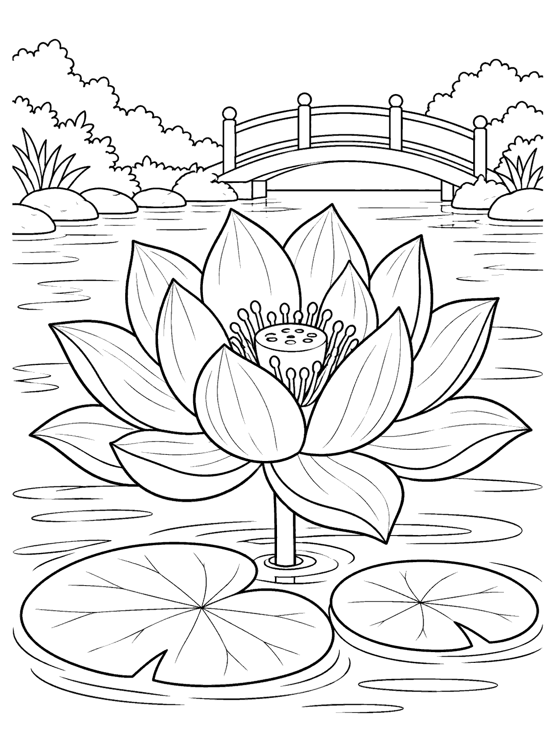 Large lotus and two lily pads on a rippled pond beneath an arched garden bridge, as a black-and-white coloring page.