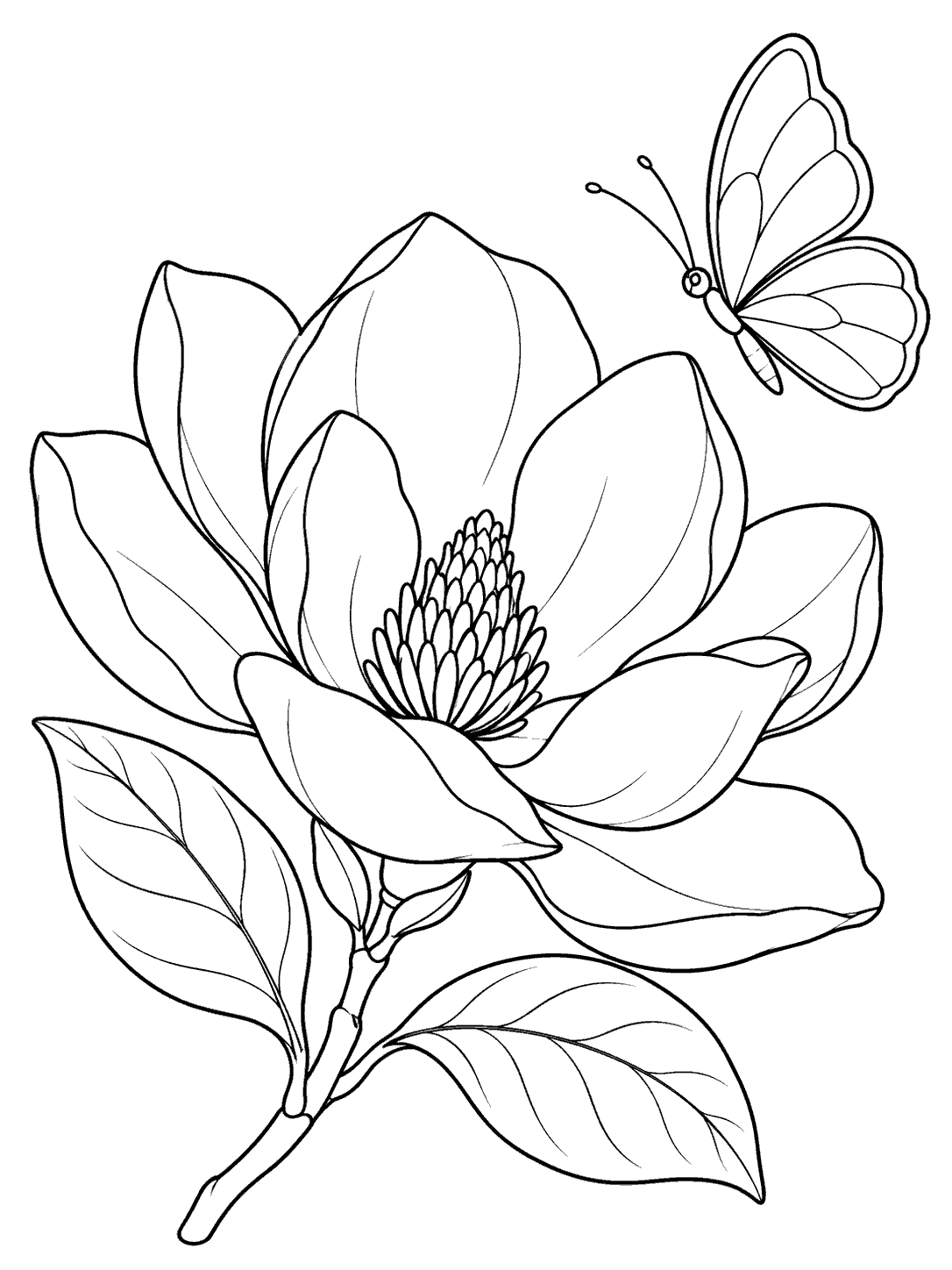Black outline coloring page of a large magnolia flower with leafy stem and a blank-winged butterfly nearby.