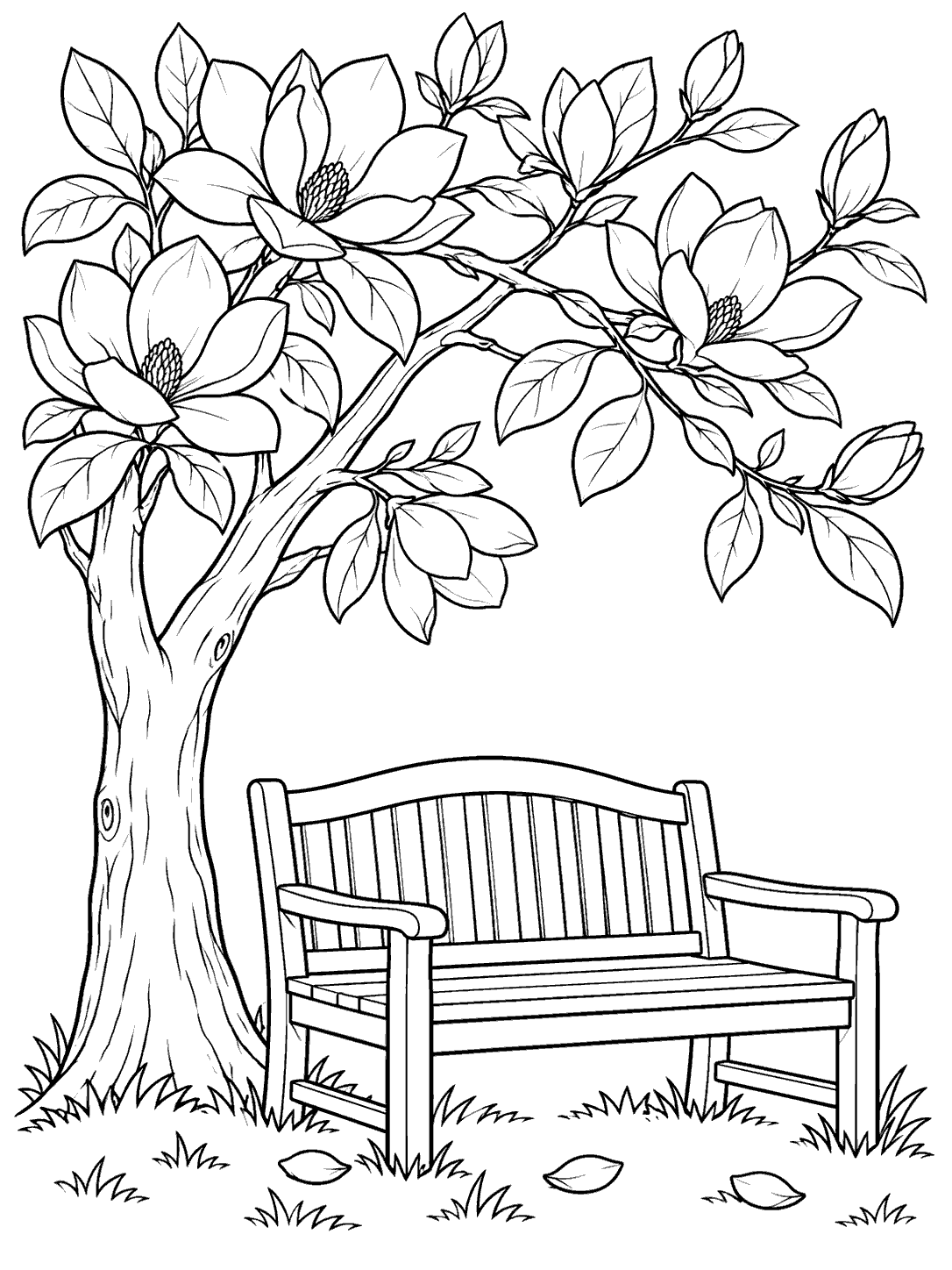 Garden bench beneath a magnolia tree coloring page