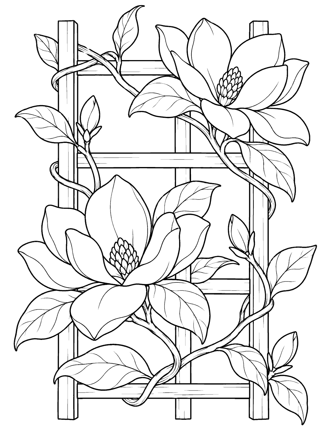 Black-and-white magnolia vine with two open blossoms and broad leaves winding around a square trellis, arranged as a portrait coloring page.