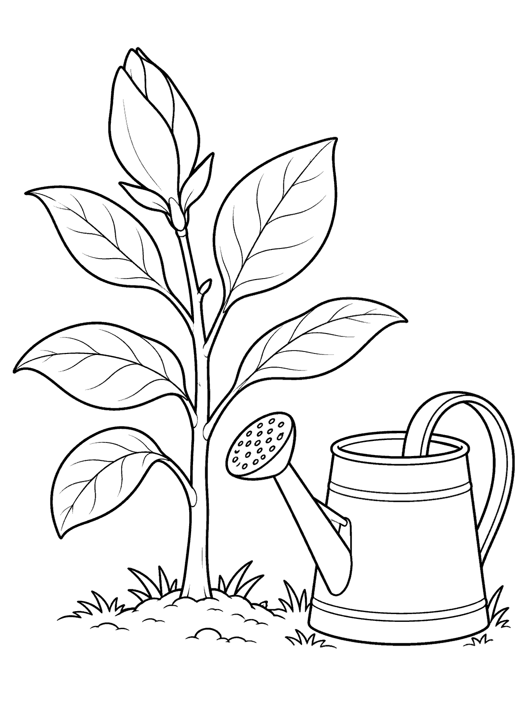 Black-and-white magnolia sapling with a bud and leafy branches beside a watering can, coloring page