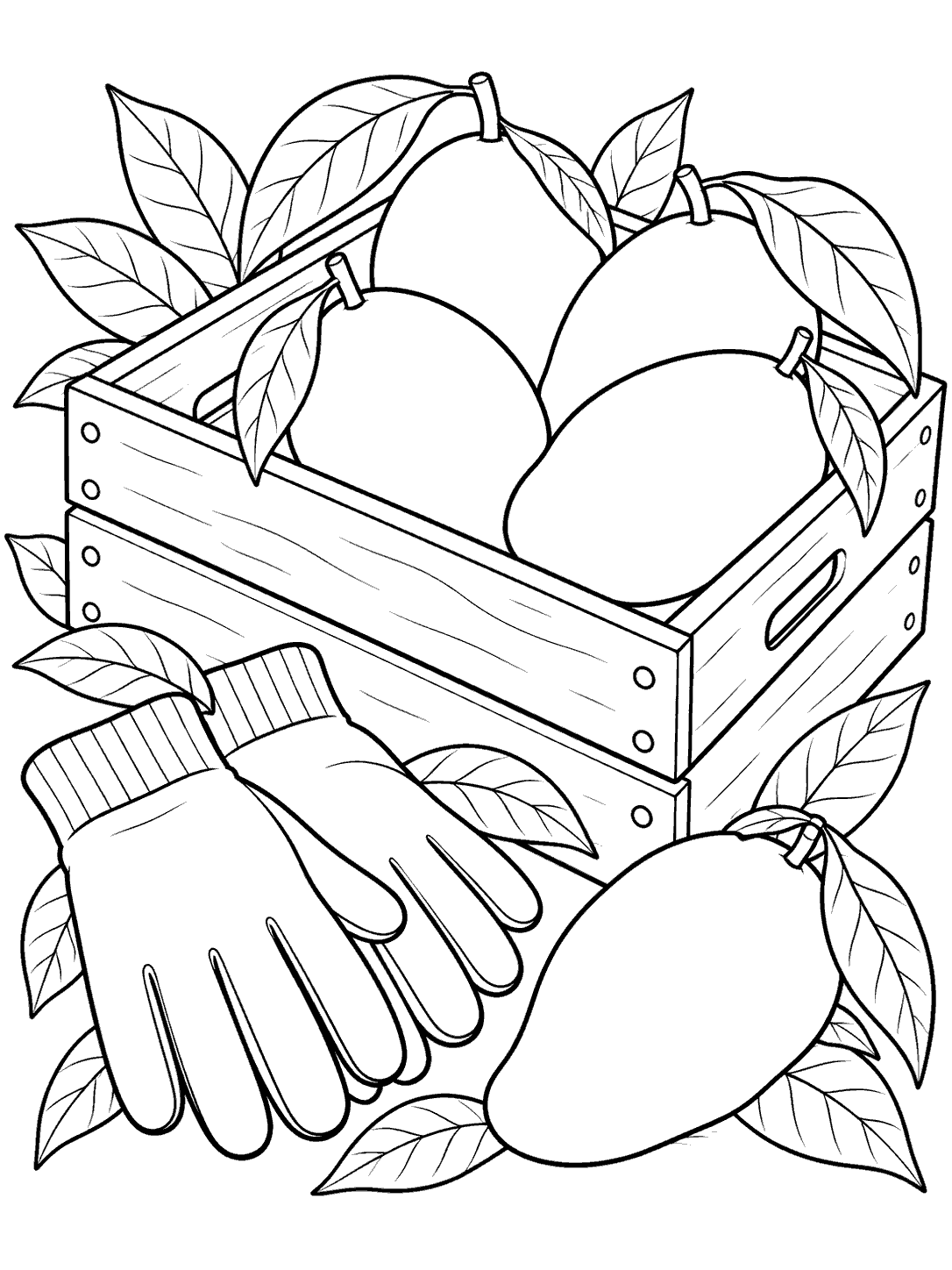 Black-outline coloring page showing four mangoes in an open crate, gardening gloves beside it, and one mango in the foreground.