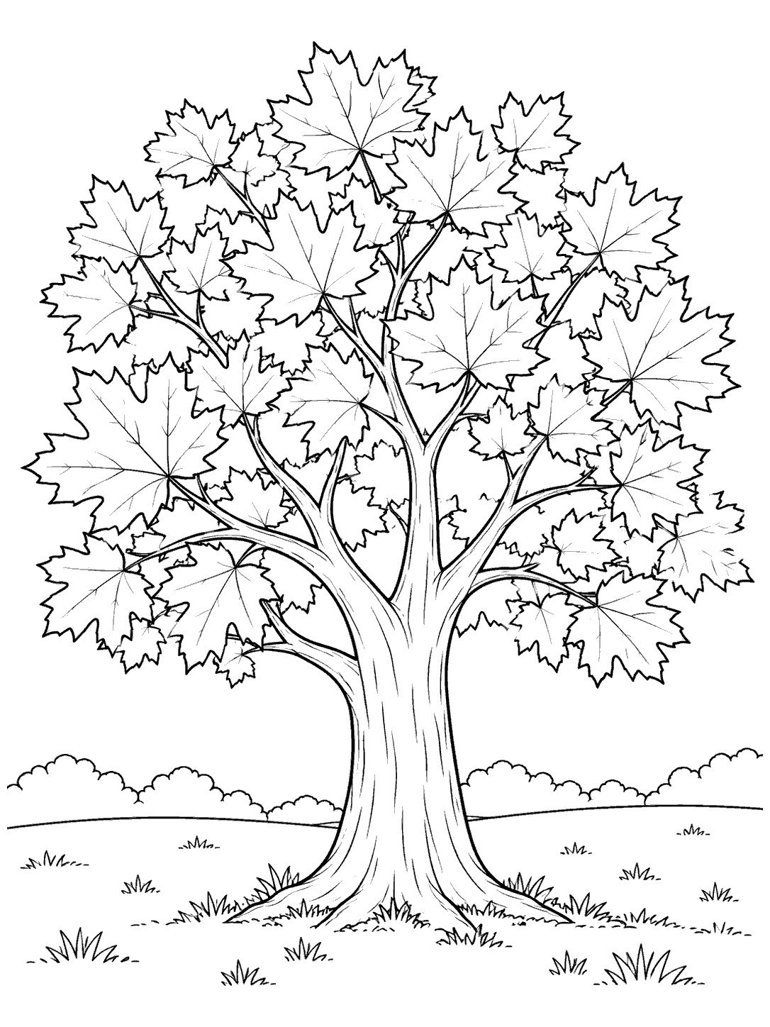 Portrait black-outline coloring page of a mature maple tree with a broad crown, grassy roots, and an open field.