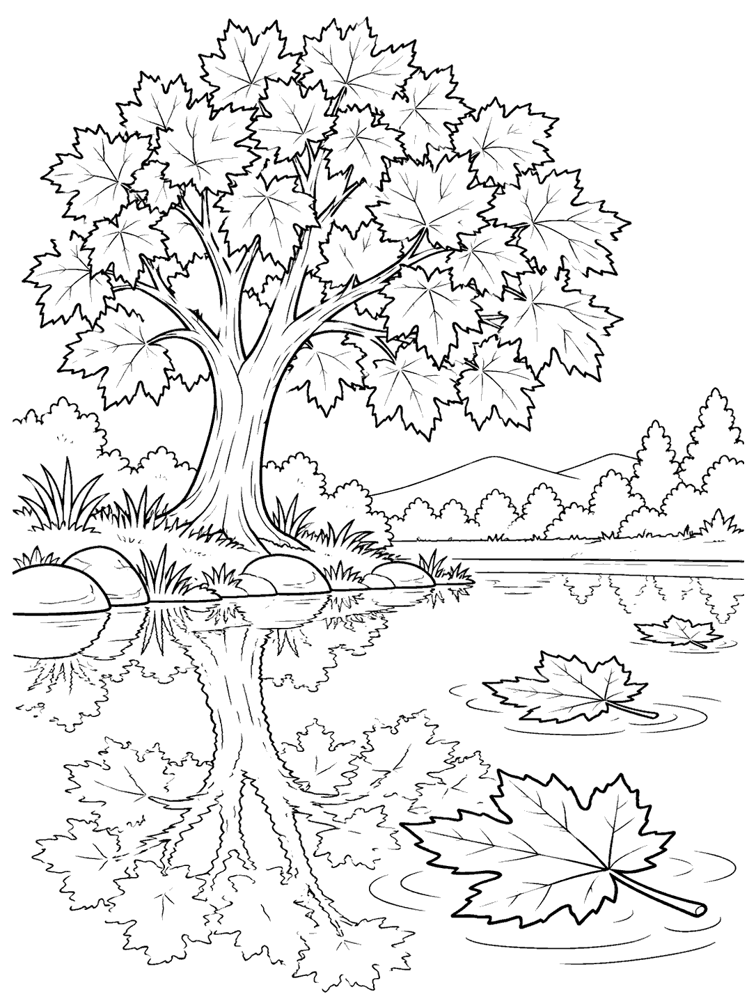 Maple tree beside a pond with a few floating leaves and a clear reflection.