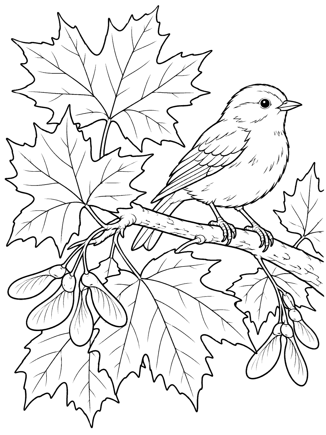 A songbird perched on a branch among large lobed maple leaves and samaras, drawn in black outline on white.