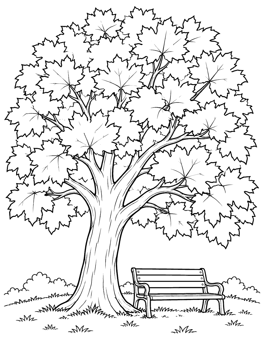 Black-and-white coloring page of a broad-canopy maple tree beside a garden bench, with grass and a clean ground line.