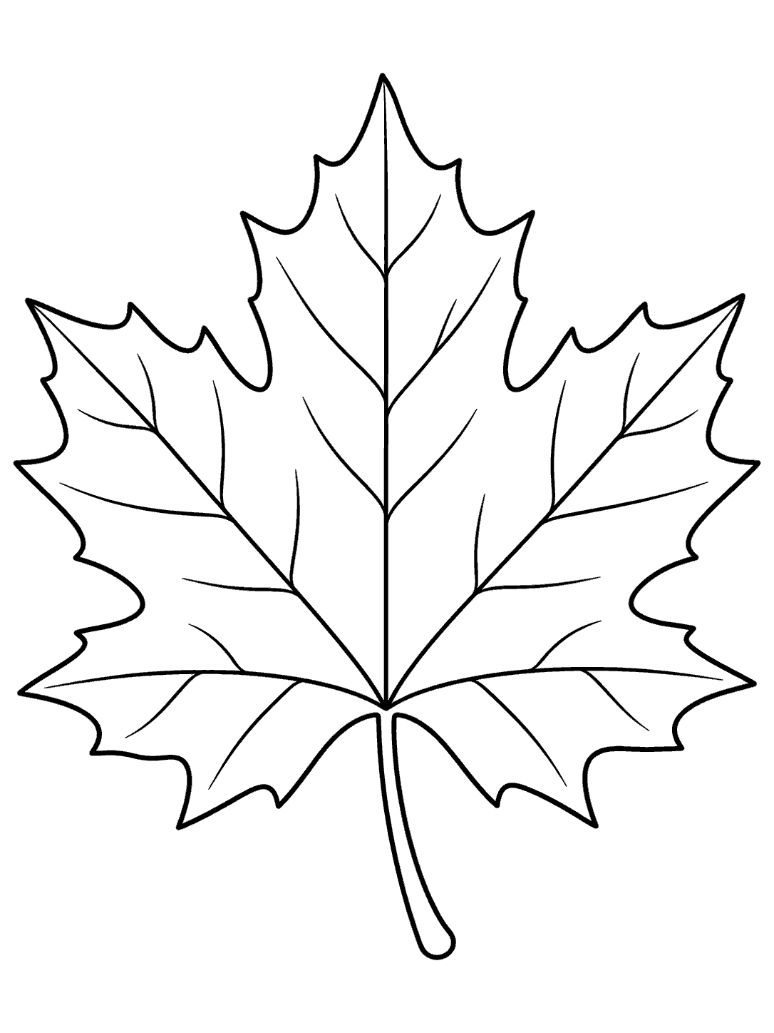 Large single lobed maple leaf with simple veins and a curved stem.