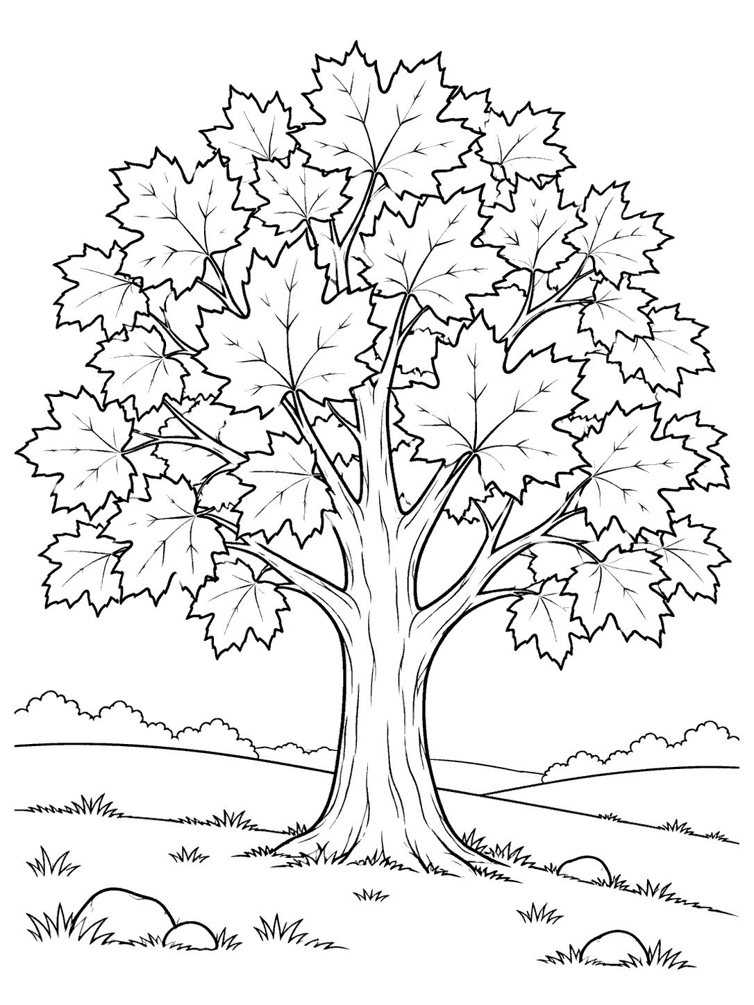 A large maple tree with a broad leafy canopy stands on a gently rolling hillside dotted with grass tufts and stones.
