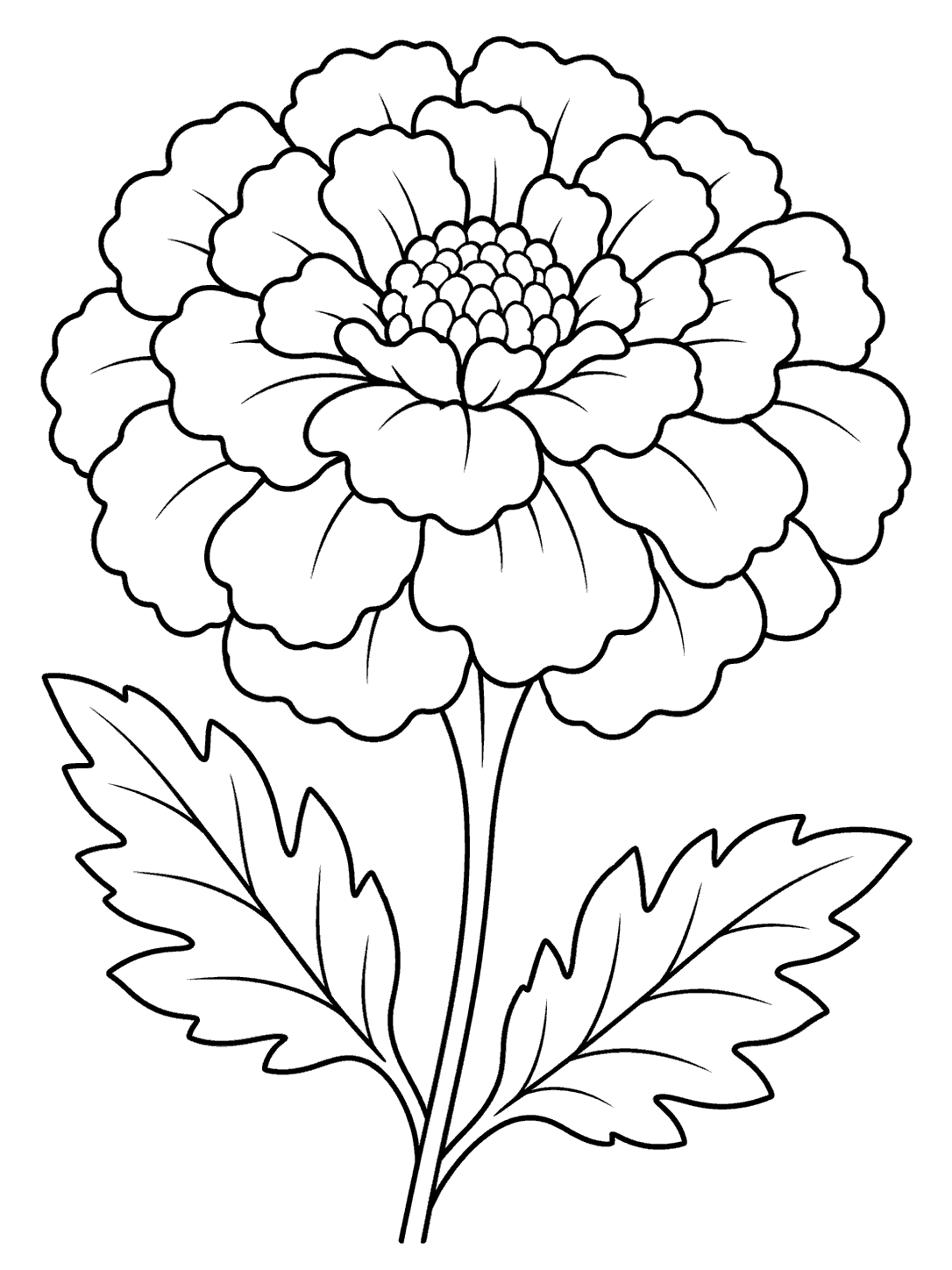 Black-outline coloring page of a full layered marigold flower with a round center, slender stem, and two leaves.