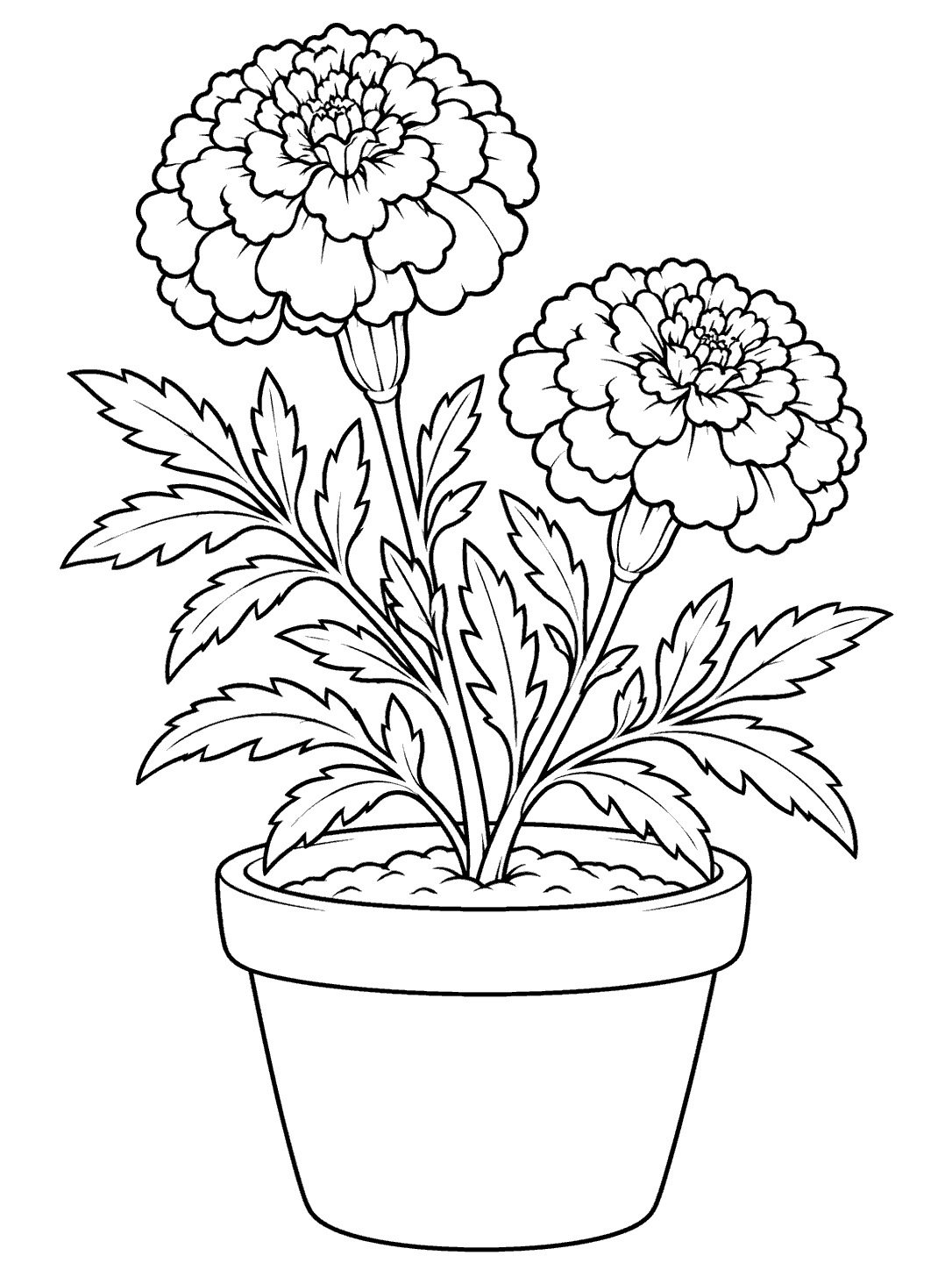 Black-and-white coloring page of a leafy potted marigold with two open blooms.