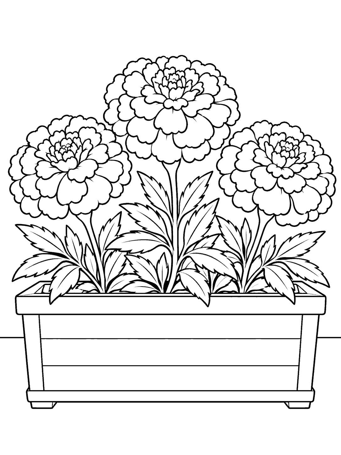 Black-outline coloring page of three marigolds and leafy stems in a rectangular window box.